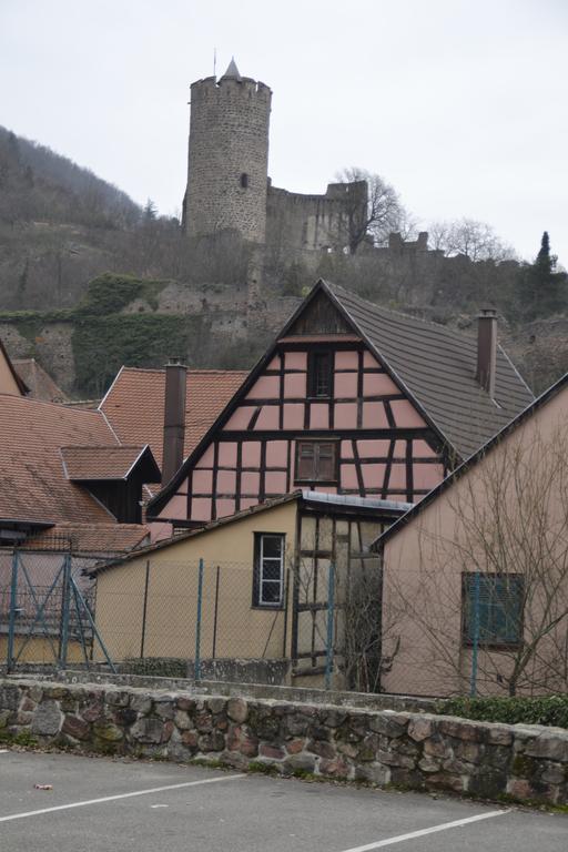 Gites Du Stekala Kaysersberg-Vignoble Esterno foto