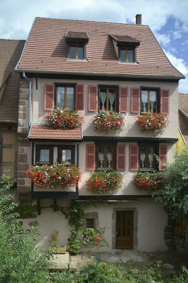 Gites Du Stekala Kaysersberg-Vignoble Esterno foto